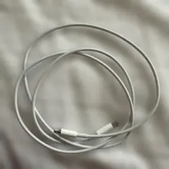 Apple純正品 iPhone充電ケーブル Cとライトニングコネクタ