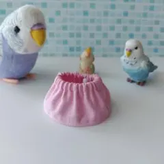 2025年最新】エリザベスカラー 鳥の人気アイテム - メルカリ