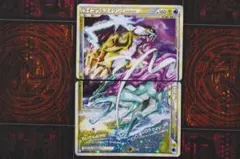 ライコウ ＆ スイクン LEGEND 上下セット 45-EY1114-13C