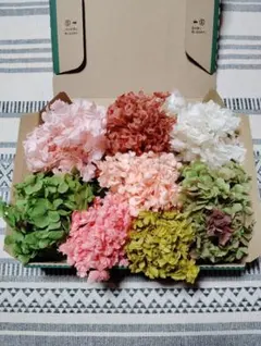 Item thumbnail for item 0f8e2a8f-9e38-4d67-9913-5fd3a030f064