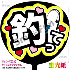 PX-2223 ファンサうちわ うちわ うちわ文字 コンサートうちわ 団扇文字