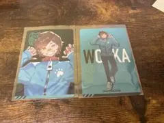 Crazy Raccoon CRチップス ステッカー Wokka うぉっかセット