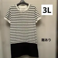 レディース　チュニック　innocent 半袖 ボーダー Tシャツのサムネイル