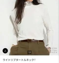 Item thumbnail for item 6344c258-ab71-4661-a5cd-f94a0e14cdc8