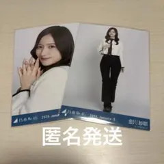 Item thumbnail for item d51f7b82-68c3-4ca0-88cf-f08d31b76322