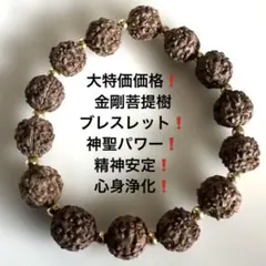 Item thumbnail for item 4cb57c9e-81aa-4d0f-b2c0-1b9e4e186732