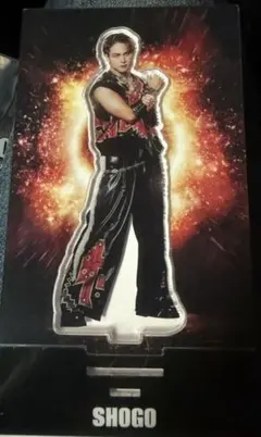 岩谷翔吾　アクリルスタンド　アクスタ　THE REASON