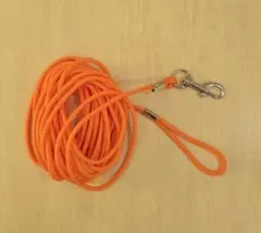 Item thumbnail for item 3a3d2af1-1683-4a4f-872c-c5ed31f095d2