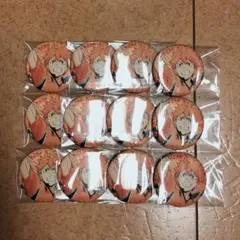 ハイキュー!! 日向翔陽 グリッター缶バッジ コレクション 12個セット