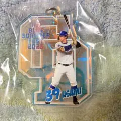 Item thumbnail for item f8865a97-fe13-4b88-b5b1-93e88b70ad93