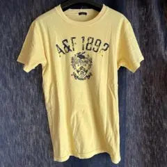 Abercrombie & Fitch Tシャツ