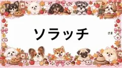 専用