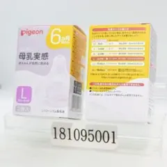 2箱セット ピジョン 母乳実感 乳首 6ヵ月頃から Lサイズ（Y字形） 2個入