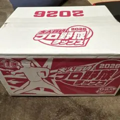 大人買い　プロ野球チップス　2026