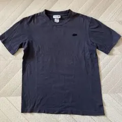 ラコステ Tシャツ