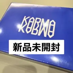 【匿名配送】straykids KARMA CEREMONY ver 新品未開封