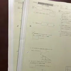 ㉒た 重要❣️サピックス SAPIX 5年 算数基礎力定着テスト② 一年分