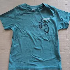 Item thumbnail for item 4d84459d-c21c-4585-b109-6cb5f6d1faee