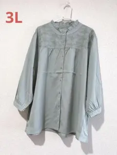 大きいサイズ 新品 花柄刺繍 ブラウス 3L