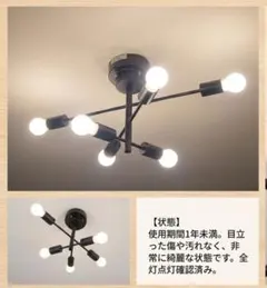 あ*す様 ⭐️美品⭐️Hzfluo シーリングライト 6灯 E26 回転アーム