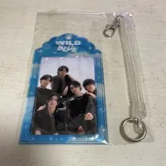 WILDBLUEまとめ売り ヤマガブランクス(YAMAGA Branks) ブルーカレント(BlueCurrent) 73Plug