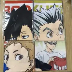 ハイキュー！！ マルチクロスコレクション 4種セット