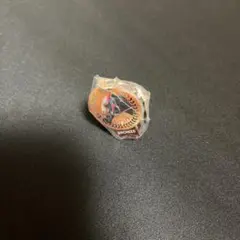 アイドルホースミニコレクション ナイスネイチャ