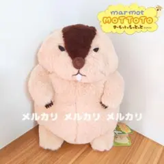 マーモットのもっとっと キャラクターグッズ