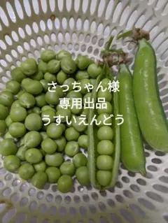 さっちゃん様 専用出品 うすいえんどう