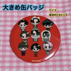 【在庫1点のみ】大きめ缶バッジ　1点