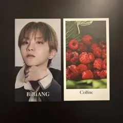 BOYNEXTDOOR ボネクド ウナク トレカ BiBiANG ビビアン 日本