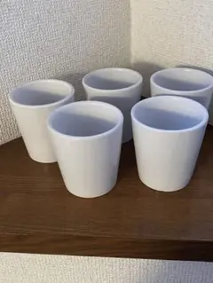 ホワイト陶器の植木鉢 5個セット