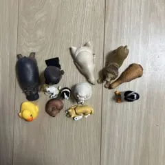 動物 フィギュア 12体セット