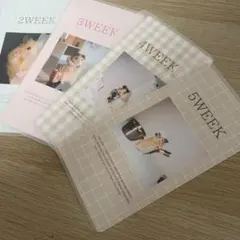 Item thumbnail for item 17eed7da-4f68-408d-a6a5-a9d158eceaf9