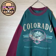 激レア 90s スウェット L相当 USA製 バイカラー ヴィンテージ 古着のサムネイル