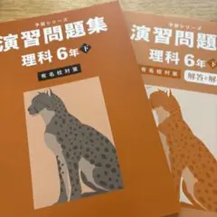 さくら様 リクエスト 4点 まとめ商品