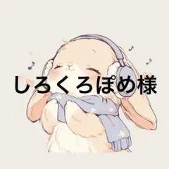 しろくろぽめ様 リクエスト 3点 まとめ商品