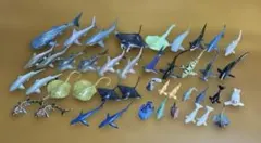 海洋生物フィギュア43体まとめ売り