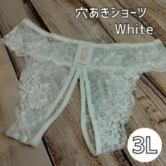【大人気】 3L 白 レースショーツ セクシーランジェリー 1228