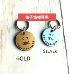 ᗦ↞︎◃︎魚型迷子札 ／軽量アクリルプレート／ペット用ネームタグ／オリジナル