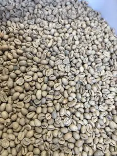 爆安!!【コーヒー生豆】ベトナム/ハニープロセス/ロブスタ1.2kg※送料無料のサムネイル