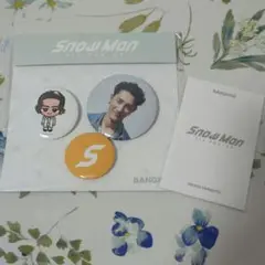 Snow Man 缶バッジ3個セット、フォトカード　バンコク限定　岩本照