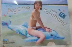 ヤングチャンピオン付録 AKB48 高橋彩音 クリアファイル 2枚