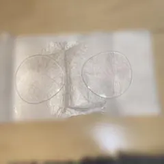 Item thumbnail for item 50ad2912-b7e2-466a-be3b-55bbf144b5e0