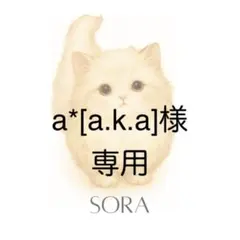 a*[a.k.a]様 6点　※商品内容のご確認をお願い致します‎٭❀*