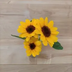 あっこ様 リクエスト 2点 まとめ商品