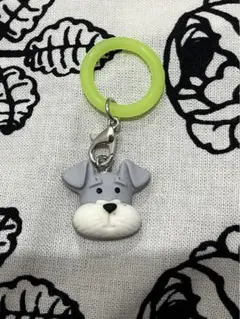 シュナウザー マーカーリング⑤