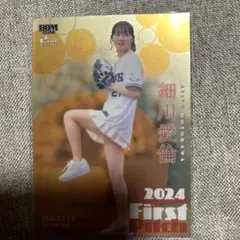 Item thumbnail for item 9cd89cd6-19a8-4286-bb12-ad58abbe34e8