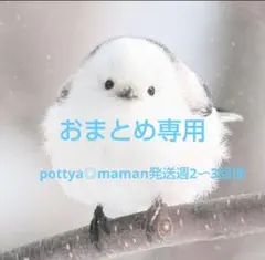 pottya◎maman発送週2〜3回様 リクエスト 4点 まとめ商品