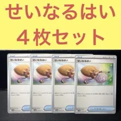 せいなるはい ４枚セット